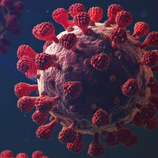 ظهور متحور فيروس كورونا الجديد “أوميكرون”وماذا قال اطباء جنوب افريقيا عنه