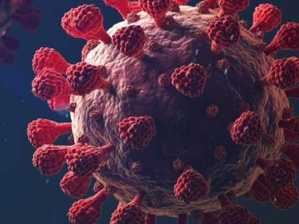 ظهور متحور فيروس كورونا الجديد “أوميكرون”وماذا قال اطباء جنوب افريقيا عنه