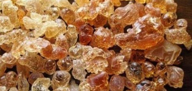فوائد عشبة المر العلاجية وطرق استعمالها